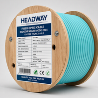 HEADWAY FCS-DSLA-4M012-AQ Kabel Trunk Optik Multimode OM4 12-Core Dalam Ruangan dengan Jaket LSZH GB/T 18380.33 Teruji Tahan Api untuk Pusat Data
