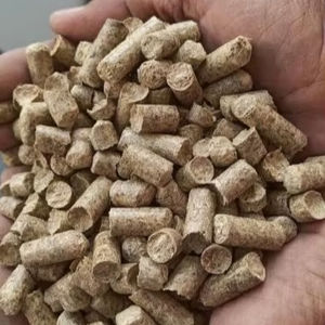 Granulés de bois de biomasse de pin naturel pour une énergie de chauffage durable, la cuisson et l'utilisation de l'énergie, à faible teneur en cendres et à haute efficacité énergétique - Product Image 3