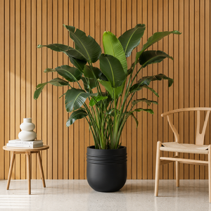 Juego de 5 macetas decorativas esféricas de fibra de vidrio negra lisa, estilo escandinavo, para jardín, patio, interior y exterior, de 30-60 cm, a precio económico. - Product Image 2