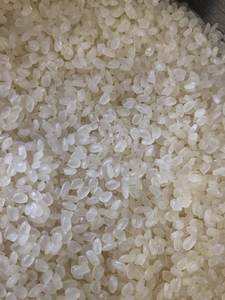 Riz à sushi SunRice Premium, riz japonica à grains courts, texture collante parfaite pour les sushis et les sashimis, cuisine japonaise authentique - Product Image 6