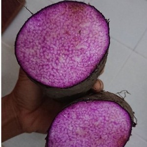 Ñame morado congelado a granel Verduras congeladas de primera calidad para mayoristas y mercado global - Product Image 5