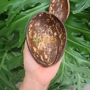 Mitades de Cáscara de Coco para Helados y Postres Congelados |   Tamaño, forma y embalaje personalizados |   Servicio OEM al por Mayor - Product Image 6