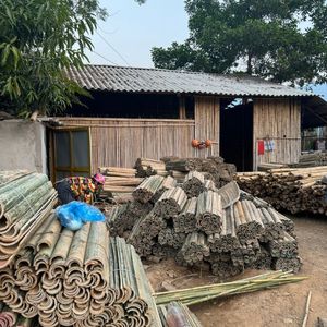 เสาค้ำพืชคุณภาพสูงจากไม้ไผ่แบบร่อง  เป็นมิตรต่อสิ่งแวดล้อม - Product Image 5