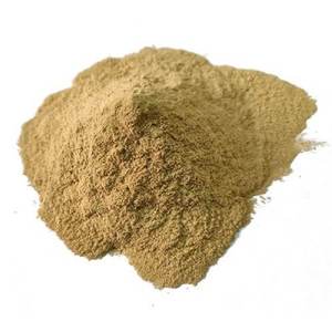 Poudre de camphre 100 % naturelle, poudre d'herbes médicinales pour usage spirituel et produits d'aromathérapie, fournisseur en gros d'Inde - Product Image 2