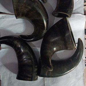 Mordedor de Cuerno de Búfalo para Perros Mordedores Agresivos - Golosina para Perros Grandes, Ecológica, Forma Redondeada, Ingredientes Crudos de Larga Duración - Product Image 6