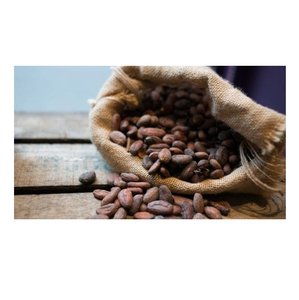Fèves de cacao de qualité supérieure, vente en gros, export, fabricant, stock disponible, meilleures ventes - Product Image 2