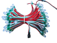 DC5V 0,3W WS2811 12MM LED-Pixellicht Punktmatrix IP67 Wasserdichte Werbetafel Anzeige Landschafts-Baumbeleuchtung Lichterkette