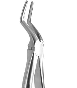 Dental Extraction Forceps Stainless Steel Best Price With Customized Size Dental Extracting Forceps By <b>Blush</b> Surgical - Product Image 5