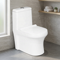 WC monobloc en céramique blanche standard NOM, chasse d'eau double, en porcelaine vitreuse, facile à nettoyer
