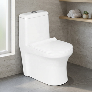 WC monobloc en céramique blanc à double chasse Vistaar Brand Wholesale NOM Standard - Product Image 1