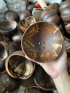Ventes en gros de pots à plantes/fleurs en coquille de noix de coco écologiques de haute qualité, durables, légers, biodégradables, finition naturelle, pour la maison et le jardin - Product Image 1