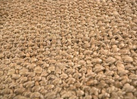 Tapis et tapis classiques en chanvre de sisal de jute vintage naturel pour entrée de porte de couloir de cuisine au meilleur prix de vente