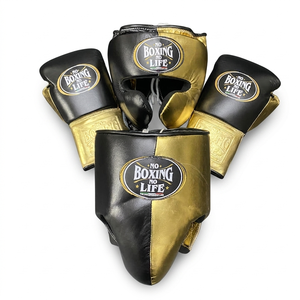 <b>Boxing</b> Athlete Training Kit with Protective Head Guard Groin Guard and Quality Gloves - Product Image 4