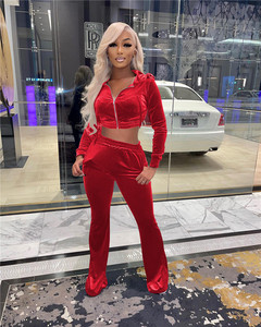 Ensemble de survêtement décontracté en velours épais pour femme, deux pièces, avec sweat à capuche zippé et pantalon, couleur personnalisable - Product Image 1