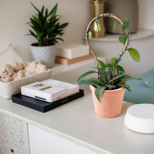 Treillis de jardin en bambou de haute qualité en forme de boucle pour plantes grimpantes, décoration de jardin domestique, prix de gros du Vietnam - Product Image 5