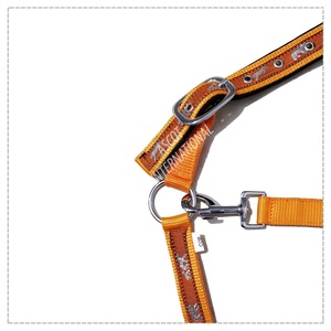 Halter d'équitation de selle anglaise en nylon nouvellement conçu avec des raccords en acier inoxydable disponibles dans toutes les couleurs pour la vente en gros - Product Image 4