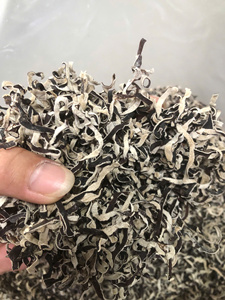 เห็ดหัวสิงโตแห้ง จำหน่ายแบบขายส่ง เกรดพรีเมียม รับประทานได้ มีไฟเบอร์สูง อายุการเก็บรักษา 12 เดือน - Product Image 5
