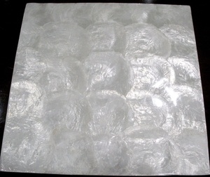 Luxury Shell <b>Mosaic</b> Wall Panel Premium <b>Mosaics</b> <b>for</b> Interior Decor - Product Image 3
