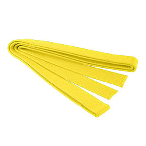 Ceinture de karaté légère de haute qualité du fabricant OEM, avec logo personnalisé, pour arts martiaux, en vente - Product Image 5