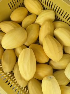 Mango Seco Vietnamita Premium, Dulce, Masticable y Saludable, el Más Vendido, para Venta al por Mayor con Etiqueta Privada OEM - Ms. Grace - Product Image 6