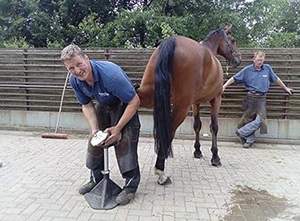 Farrier Horse Trimming Herraduras Hoof Jack Stand Trim Hoofjack Hoof Holder Soporte de pie - Product Image 6