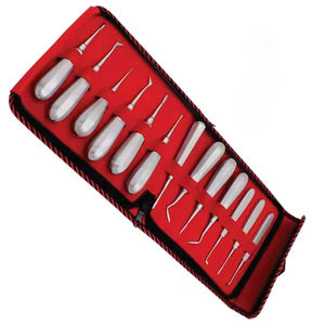 Kit Profesional de 13 Elevadores Dentales de Acero Inoxidable, Herramientas de Extracción de Raíces Dentales con Agarre Ergonómico, Instrumento para Dentistas - Product Image 3