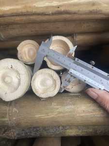 Usine au Vietnam, poteaux en bambou naturel pour la construction, meubles, matériaux de construction en bambou, fournisseur en gros, export - Product Image 6