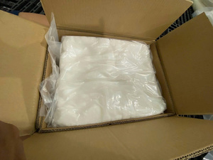 Gelée de coco blanche du Mekong en cubes de 10 mm, saveur fruitée, prête à l'emploi, nutritive, 1 kg, pudding vietnamien - Product Image 6