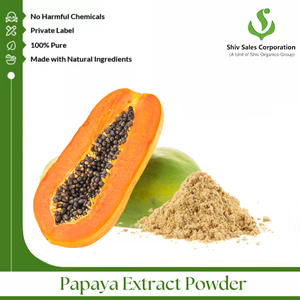 Producteur de premier plan d'extrait de fruit de papaye 100% pur et naturel en poudre, conditionné en bidons/fûts pour l'industrie cosmétique, à prix compétitif - Product Image 4