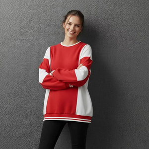Custom Front Solid Women's Soft Cotton Mock Neck Streetwear Embroidered <b>Jumper</b> Fleece Oversized <b>Pullover</b> Mockneck Sweatshirt - Product Image 5
