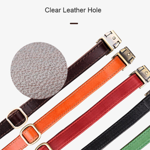 Collier pour animaux de compagnie en cuir véritable de qualité supérieure, boucle réglable, durable, pour chien et chat, vente en gros, OEM, tailles personnalisées - Product Image 6
