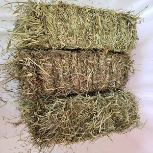หญ้าแห้งอัลฟัลฟาทิโมธีหญ้าแห้งทิโมธีหญ้าแห้งทิโมธีหญ้าแห้งทิโมธี - Product Image 6