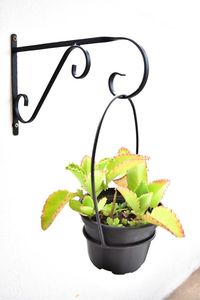 Curved Iron Wall <b>Bracket</b> - Product Image 2