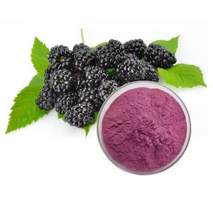 Poudre de mûrier la plus vendue, qualité supérieure, de qualité alimentaire, pour la transformation alimentaire, produit nutritionnel et soutien à la santé - Product Image 4