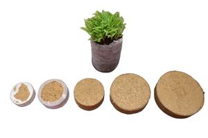 Discos de Coco Secos Redondos para Uso en Jardinería Doméstica - Product Image 5