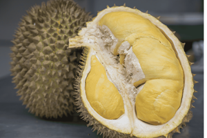 Durian Ri6 congelado, Monthong de Vietnam-Textura suave, aroma fuerte, perfecto para postres y procesamiento de alimentos/Sra. Lima - Product Image 5