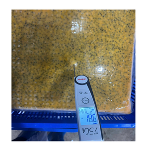 Purée de fruit de la passion surgelée de qualité supérieure, bloc IQF, 100% naturelle, origine Vietnam, approvisionnement en vrac - Product Image 5