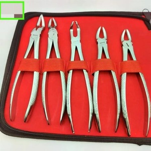 Pinzas de Extracción Dental para Adultos de Alta Calidad, Instrumentos de Extracción de Dientes de Acero Inoxidable, Java Surgical - Product Image 5