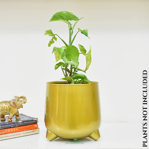 Wholesale Eco-Friendly Iron Powder Coated Minimalist Plant <b>Pots</b> for <b>Succulents</b> and Modern Home Decor - Product Image 5
