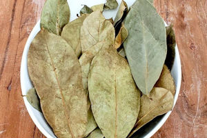 Feuilles de corossol séchées infusées de la puissance GUANABANA et GRAVIOLA certifiées biologiques et naturelles - Product Image 2