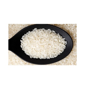 Riz Calrose de haute qualité 5% brisures – Approvisionnement en vrac pour importateurs et distributeurs - Product Image 2