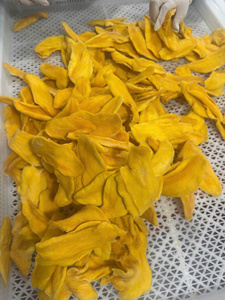 Bulk Wholesale Natural Soft Dried Mango Sticks No Sugar Added Custom Packaging - Product Image 3