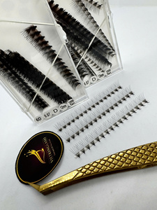 Extensiones de Pestañas Ultra Rápidas 6D Preformadas con Efecto Spike, PBT Coreano 0.05 0.07, Abanico Cerrado Hecho a Mano, Venta al por Mayor Personalizable - Product Image 1