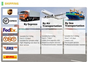 Distant Dream Polvere di Zenzero Giallo Piccolo Biologico dello Yunnan Luoping, Polvere di Zenzero Puro e Invecchiato 250g, Conservazione a Temperatura Ambiente - Product Image 2