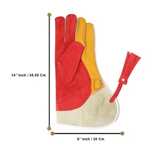 Gant de fauconnerie professionnel en cuir véritable pour homme – Gant de protection extra long et robuste pour l'entraînement des faucons et des aigles - Product Image 4