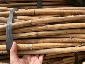 Vietnamese Natural Solid Rattan Cane Poles Round 200cm Length for Furniture Handicrafts and Weaving - Product Image 2