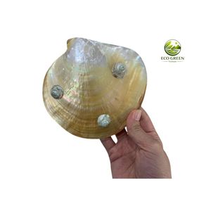 Plateau à bijoux classique en nacre naturelle écologique, plateau de luxe en coquillage jaune naturel, porte-savon artisanal en coquillage - Product Image 2