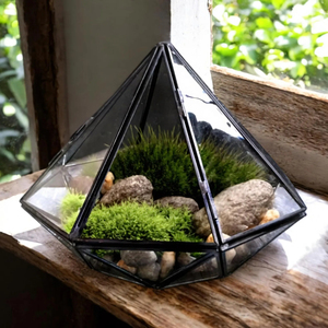 Jarrón de Mesa de Latón con Forma de Diamante, Marco de Color Negro, Diseño Tradicional, Terrario para Exteriores, Decoración para el Hogar, Soporte para Plantas al por Mayor - Product Image 6
