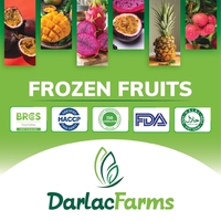 Vietnam IQF Avocado 100% Origineel Diepvries Gesneden Dak Lak Boerderijen Bulk Vacuüm Verpakt 20kg 24 Maanden