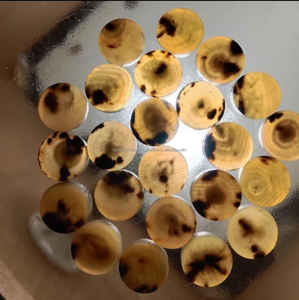 Dernier style Boutons lavables de haute qualité en corne de buffle Blancs de boutons de diamant pour vêtements Manteaux Vestes-Falak World Exportation - Product Image 6